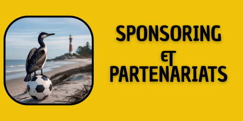 SPONSORING